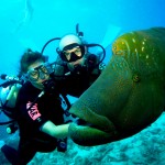 scuba-diving-with-your-instructor1