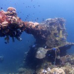 170284-corals-mixing-with-a-wreck-in-chuuk-lagoon