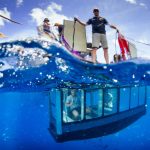 aqua-sub-underwater-great-white-shark-diving