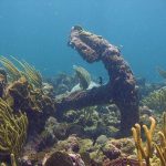 scuba-diving-in-tobago